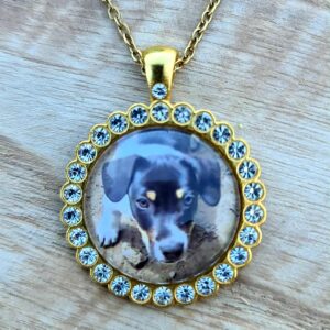 Ketting met foto hanger met crystals goudkleurig